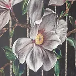Les Magnolias D'annecy *