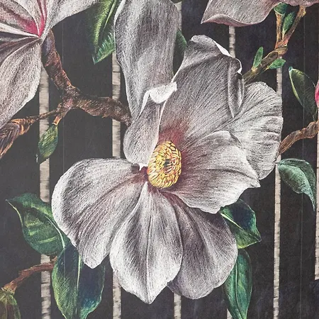 Les Magnolias D'annecy *